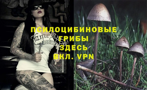 бутират Балахна