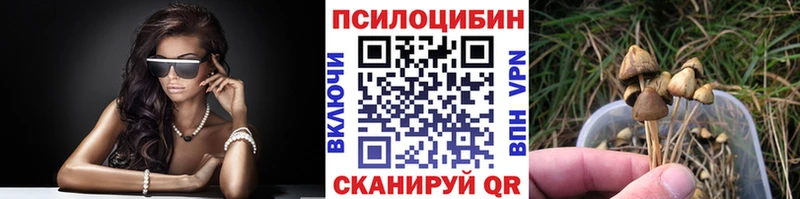 Псилоцибиновые грибы прущие грибы где найти Вяземский